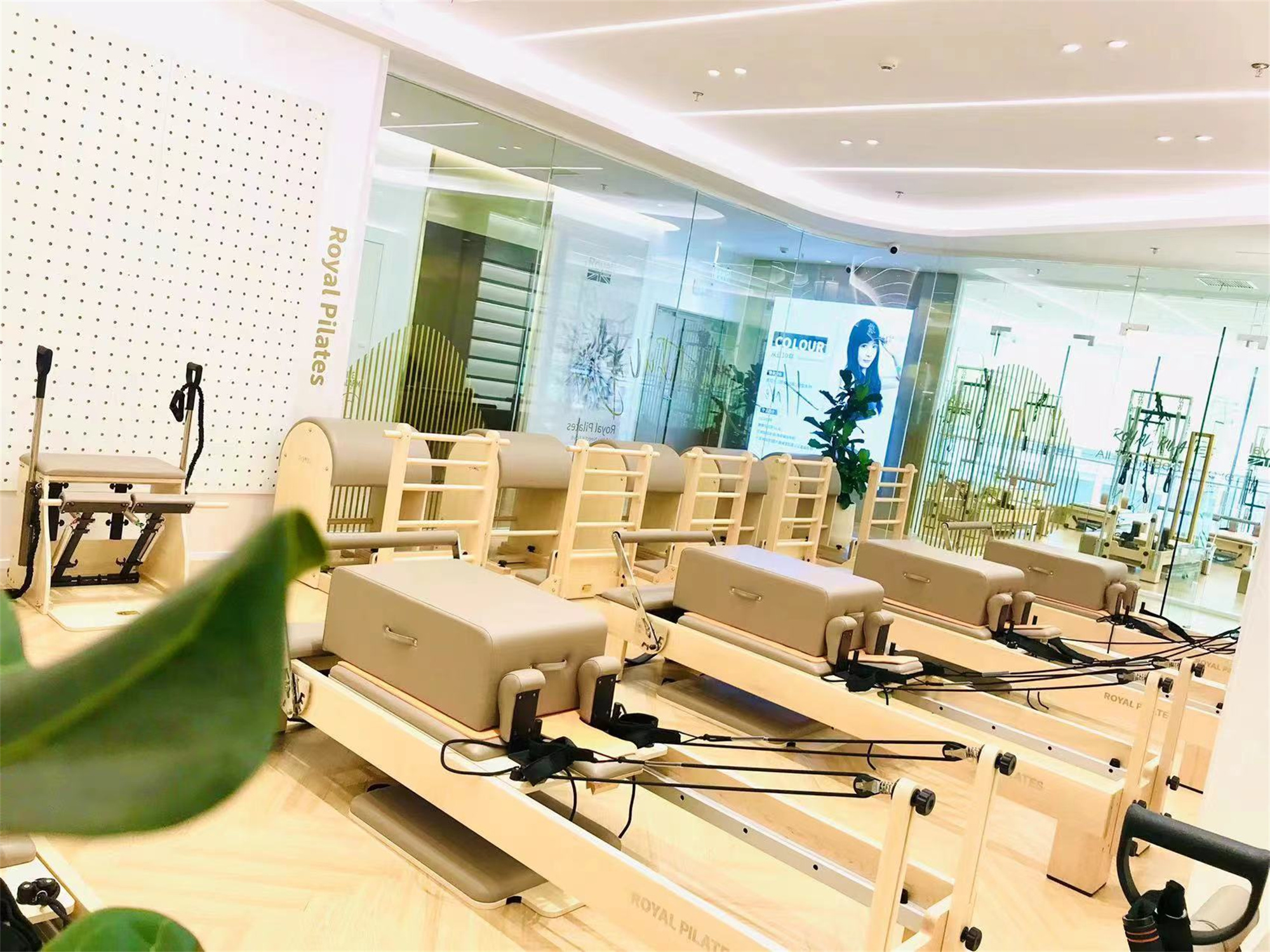 Latest company case about Shanghai Royal Pilates